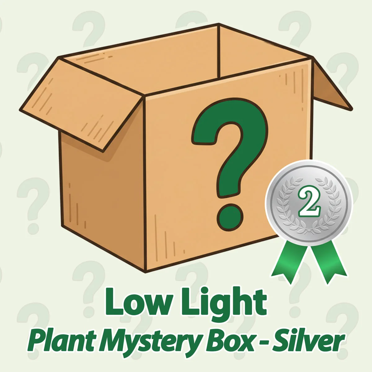 Mystery Plant Boxes